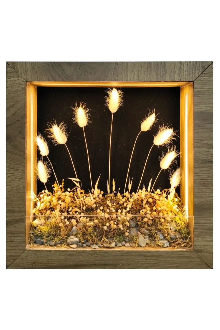 SC009 - Işıklı Dekoratif Çerçeve LED Siyah Fon Beyaz Kuru Bitki El Yapımı Botanik Obje 31x31x6 cm - el yapımı LED diorama çerçevesi ana görseli