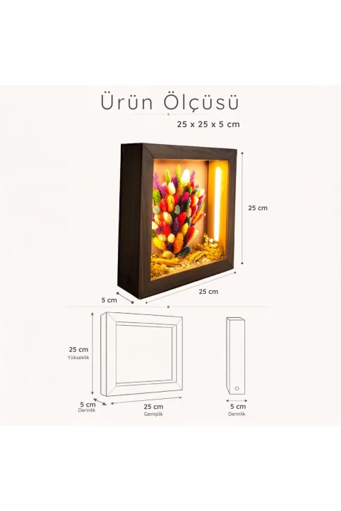 SC008 - Işıklı Dekoratif Çerçeve LED Renkli Kuru Çiçek El Yapımı Botanik Obje 25x25x5 cm - ölçü ve ebat bilgisi