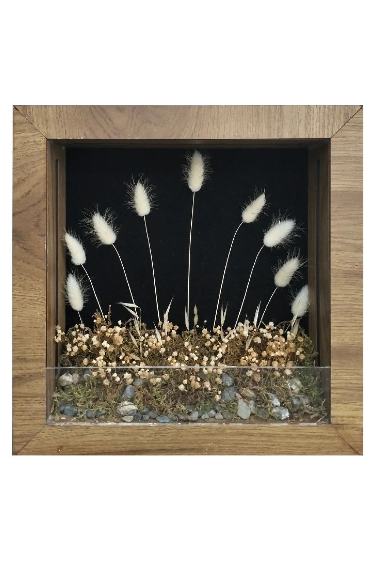 ED-DS-009 - Işıklı Dekoratif Çerçeve LED Siyah Fon Beyaz Kuru Bitki El Yapımı Botanik Obje 31x31x6 cm - alternatif ürün görünümü